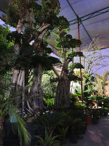 Hejair Garden & Landscaping