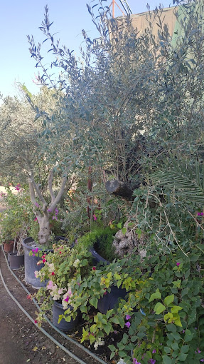 Hejair Garden & Landscaping