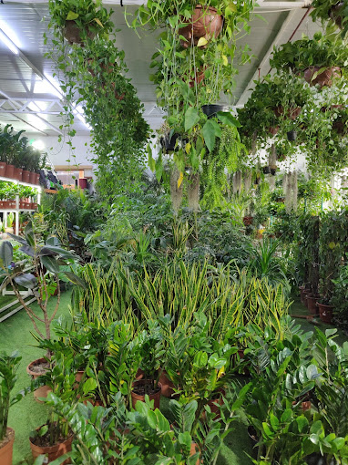 Hejair Garden & Landscaping