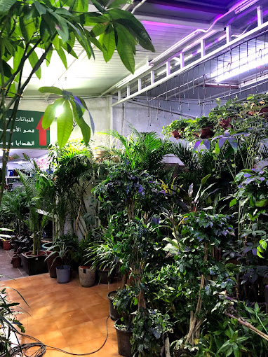 Hejair Garden & Landscaping