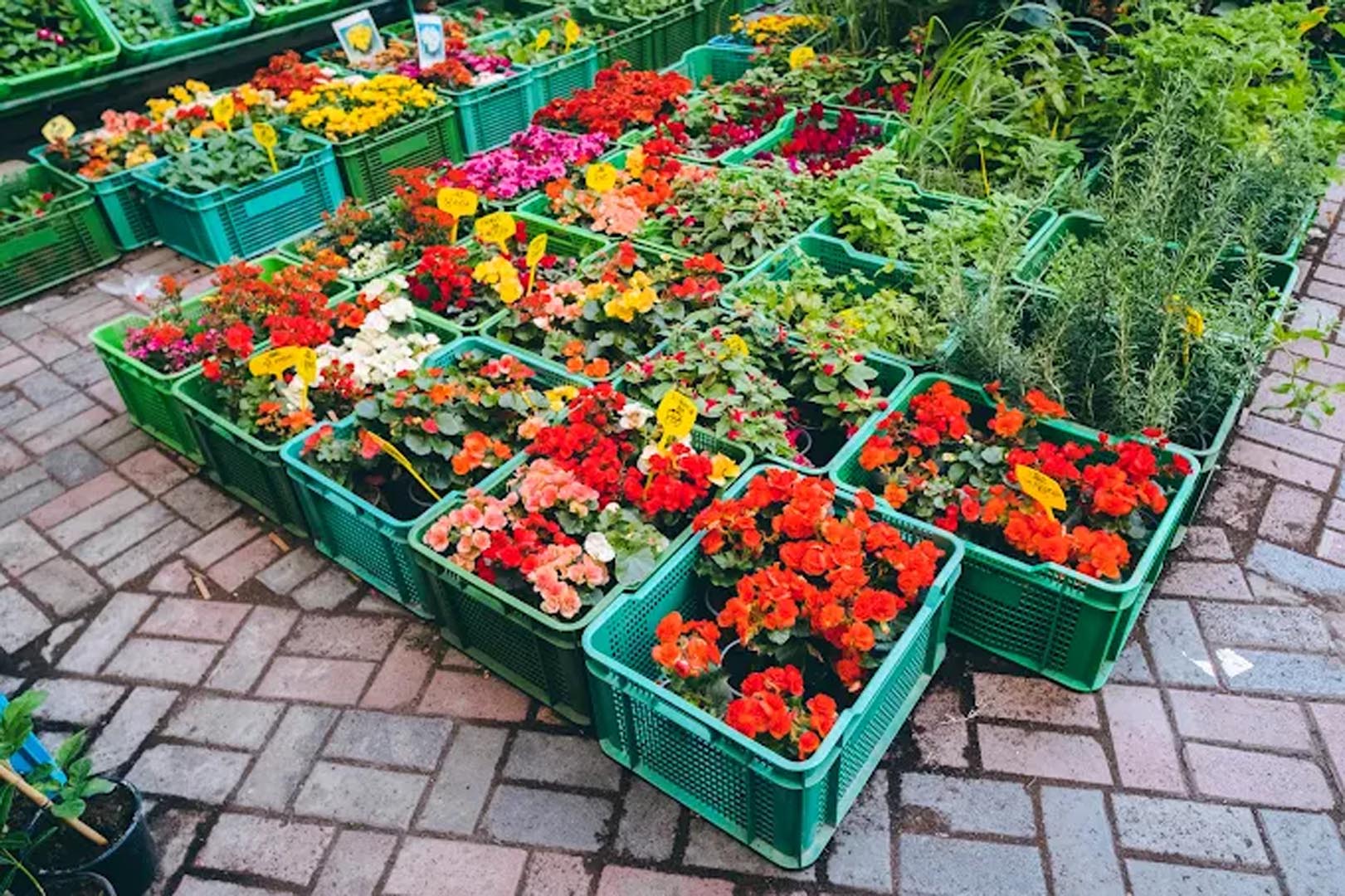 Galali branch &ndash; Al Khair Agricultural Centre