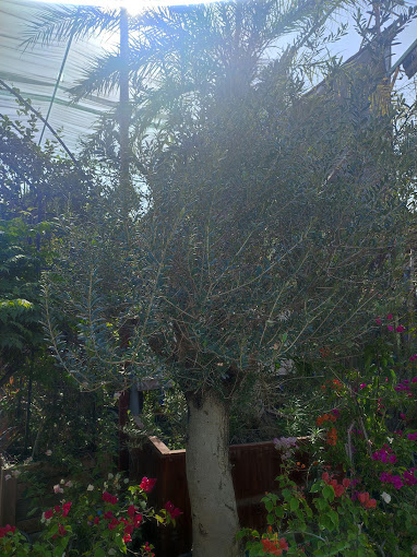 Hejair Garden & Landscaping