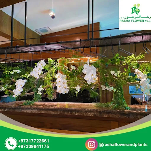 Rasha Flower W.L.L, Manama, Bahrain