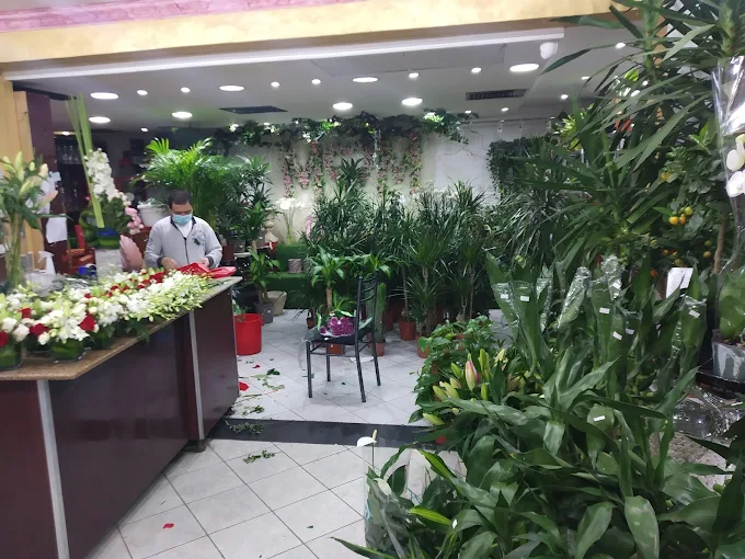 Rasha Flower W.L.L, Manama, Bahrain