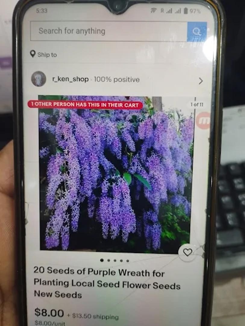 Galali branch &ndash; Al Khair Agricultural Centre