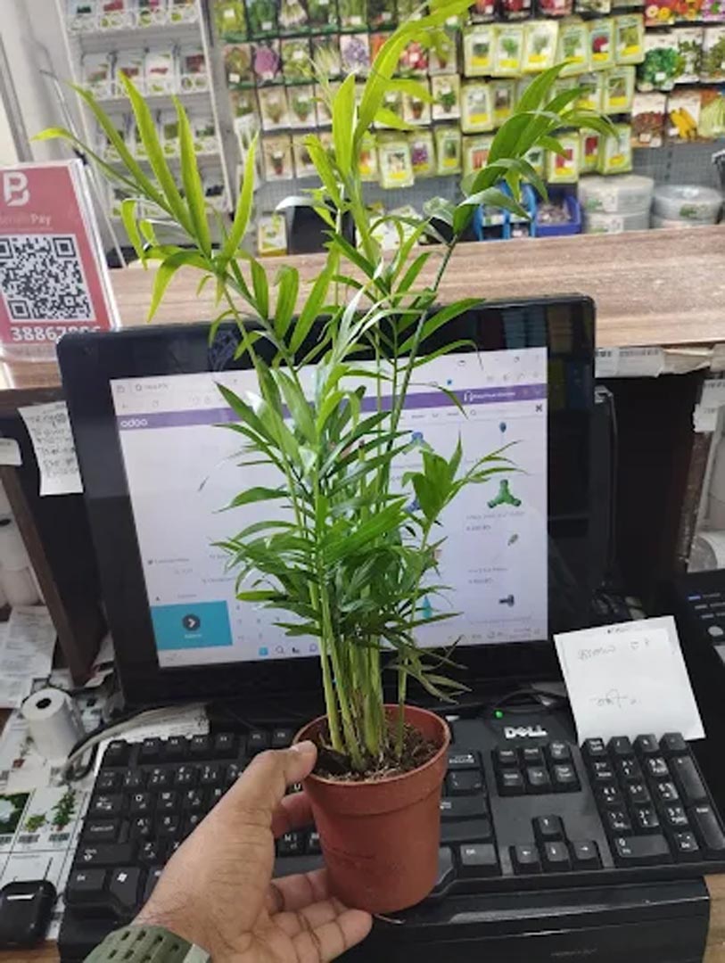 Galali branch &ndash; Al Khair Agricultural Centre