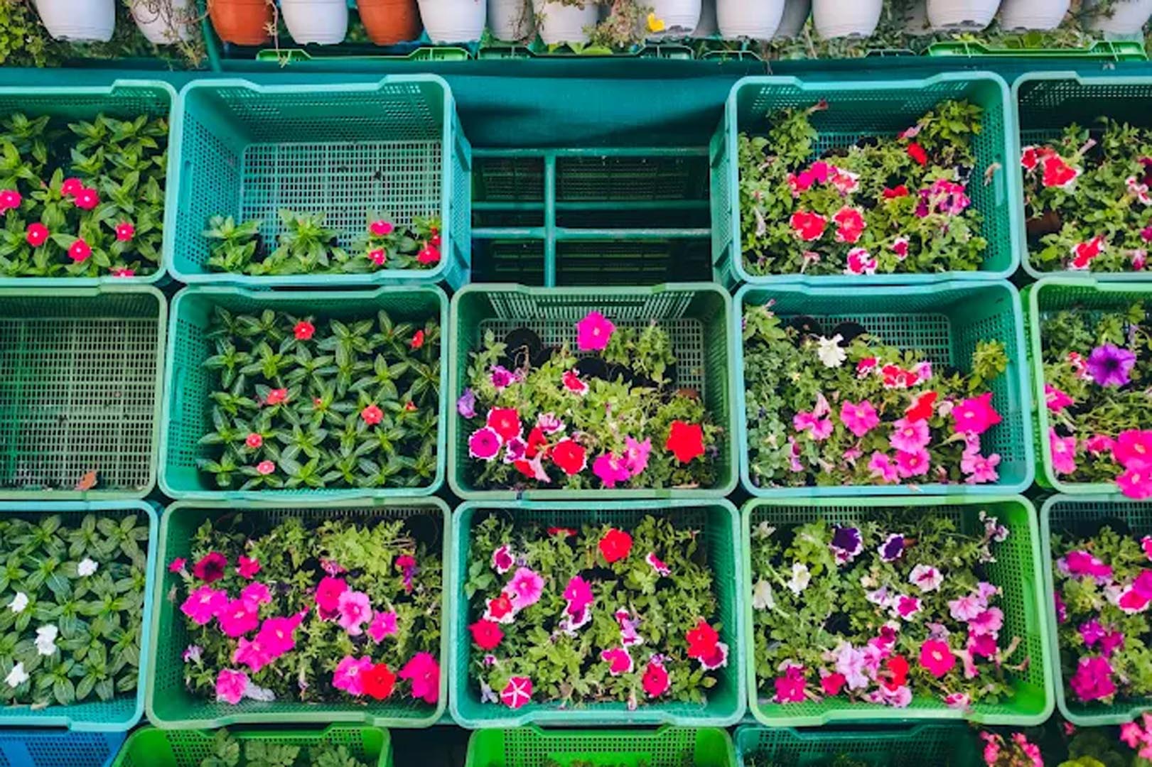 Galali branch &ndash; Al Khair Agricultural Centre