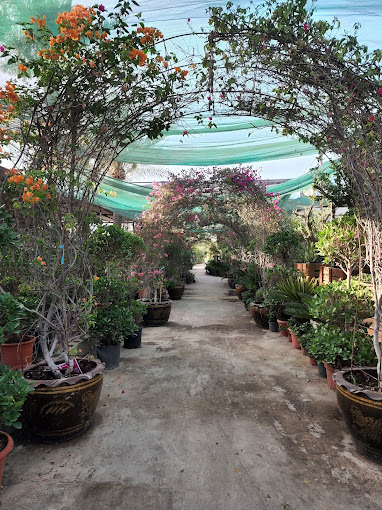 Hejair Garden & Landscaping