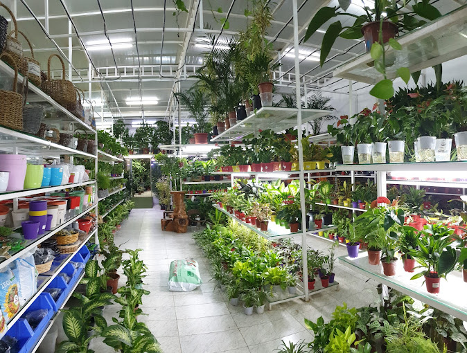 Hejair Garden & Landscaping