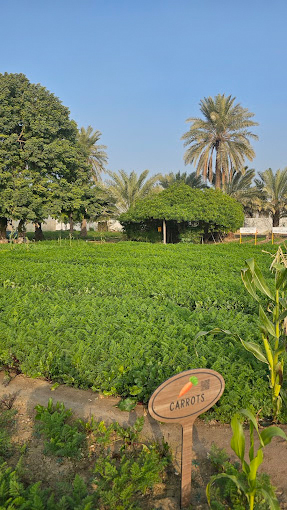 Jasra Organic Farm