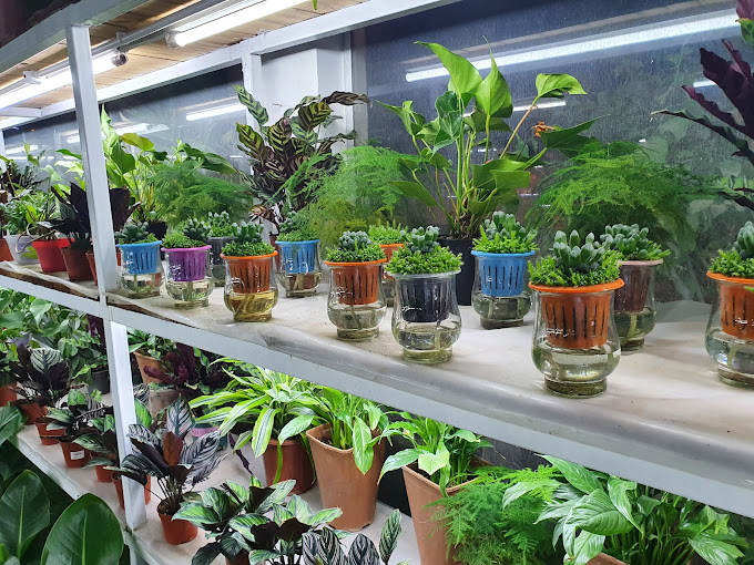 Hejair Garden & Landscaping