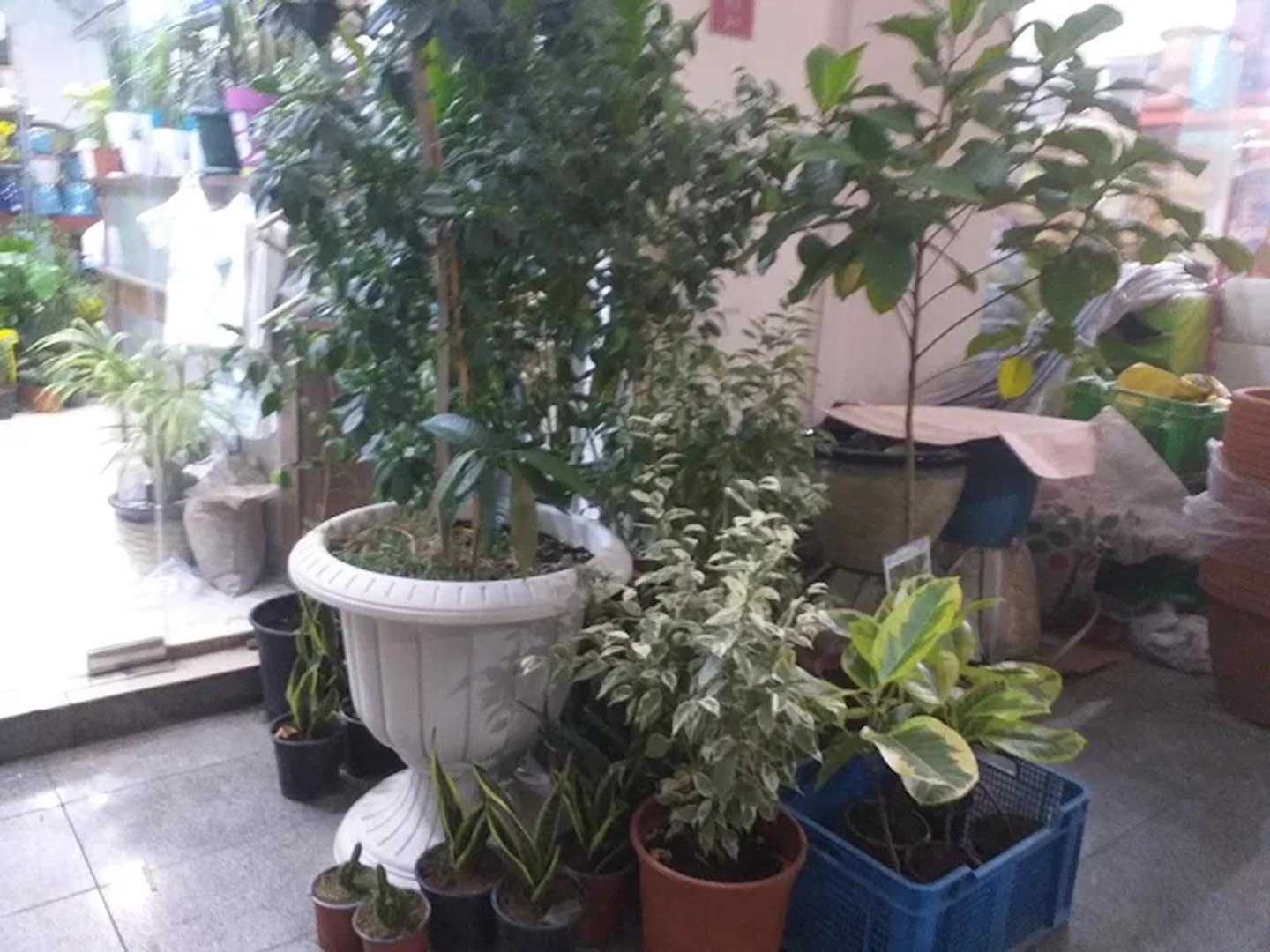 Galali branch &ndash; Al Khair Agricultural Centre