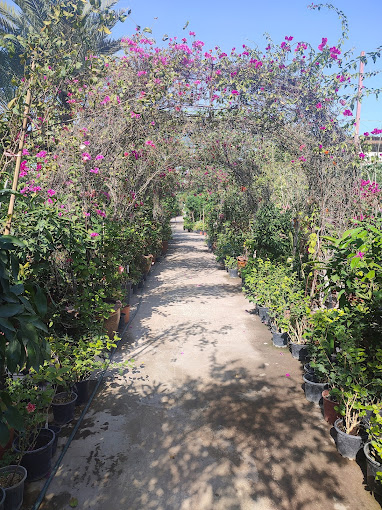 Hejair Garden & Landscaping