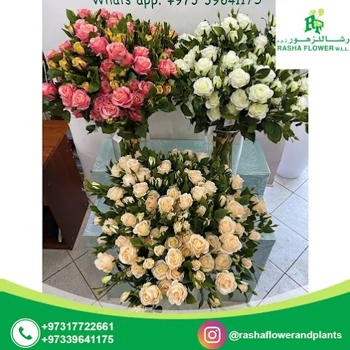 Rasha Flower W.L.L, Manama, Bahrain