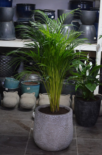 Hejair Garden & Landscaping