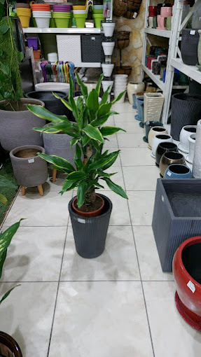Gardenia Flower Shop