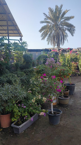 Hejair Garden & Landscaping